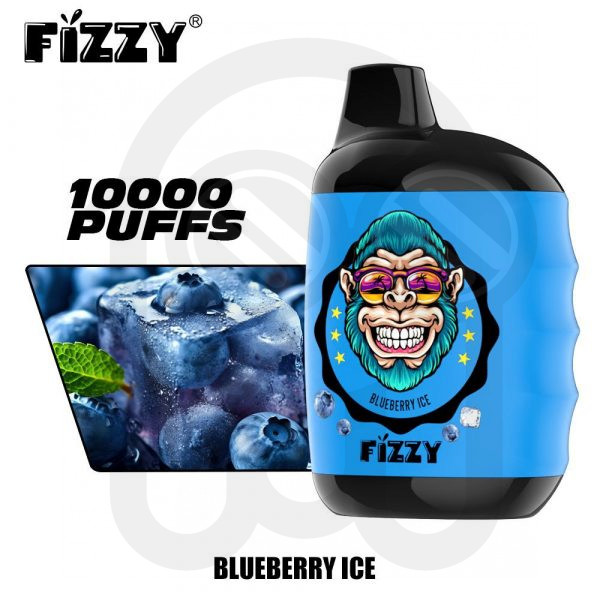 Vape 10000 puffs BLUEBERRY ICE