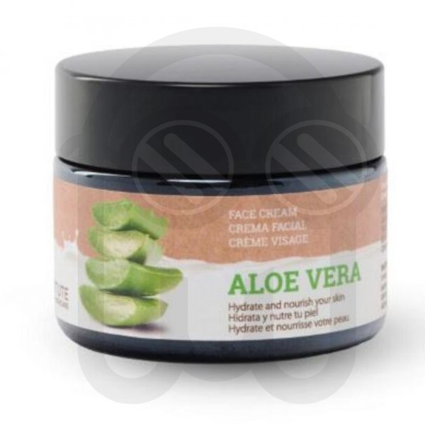 IDC INSTITUTE FACE CREAM ALOE VERA 50ML