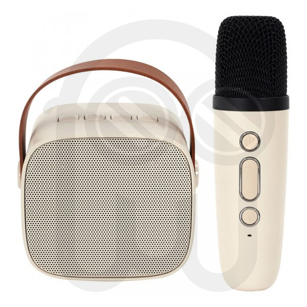 ALTAVOZ Y MICRO KARAOKE